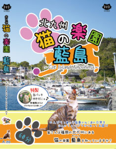 福岡 猫の楽園 藍島 (北九州)